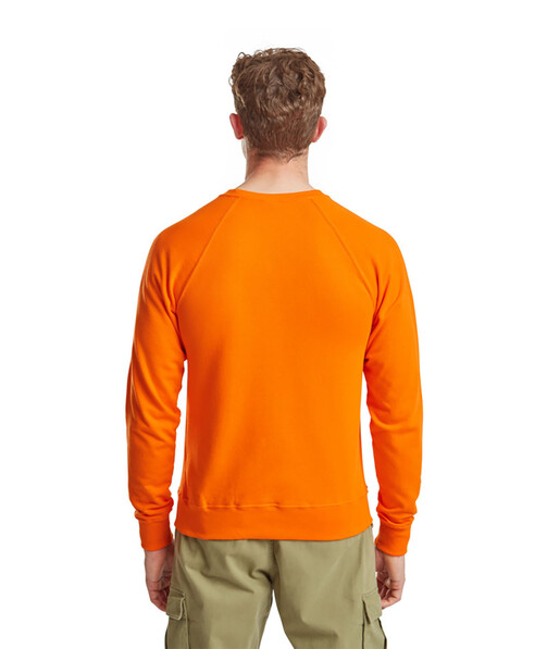 Світшот чоловічий Lightweight raglan колір помаранчевий 23