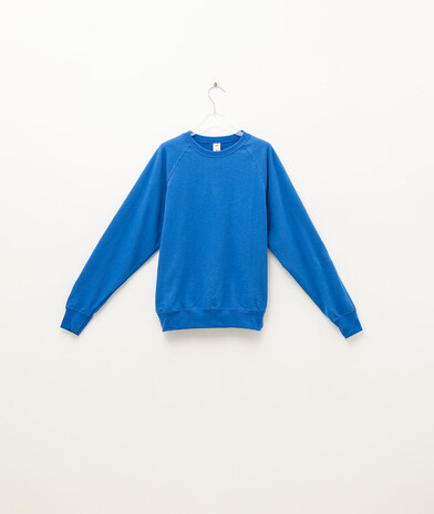 Свитшот мужской Lightweight raglan цвет ярко-синий 28