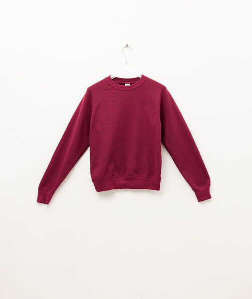 Реглан чоловічий Classic raglan колір бордовий 21