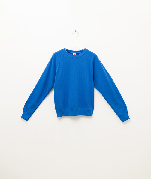 Реглан чоловічий Classic raglan колір ярко-синій 29
