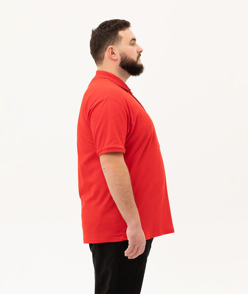 Мужское поло классическое большых размеров 3XL-5XL цвет красный 25