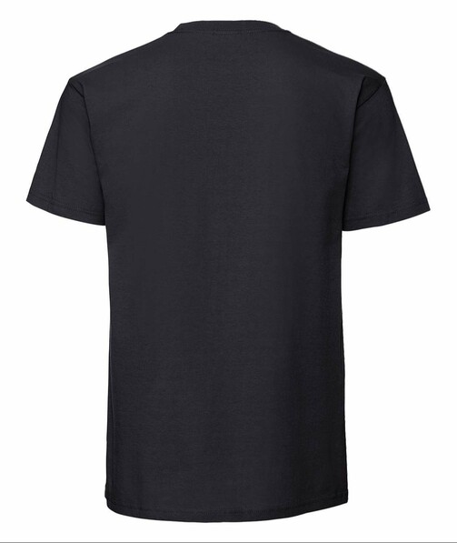Мужская футболка плотная Iconic 195 Ringspun Premium T цвет черный 30